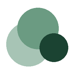 Foundation for Participatory Democracy (FUDEPA)